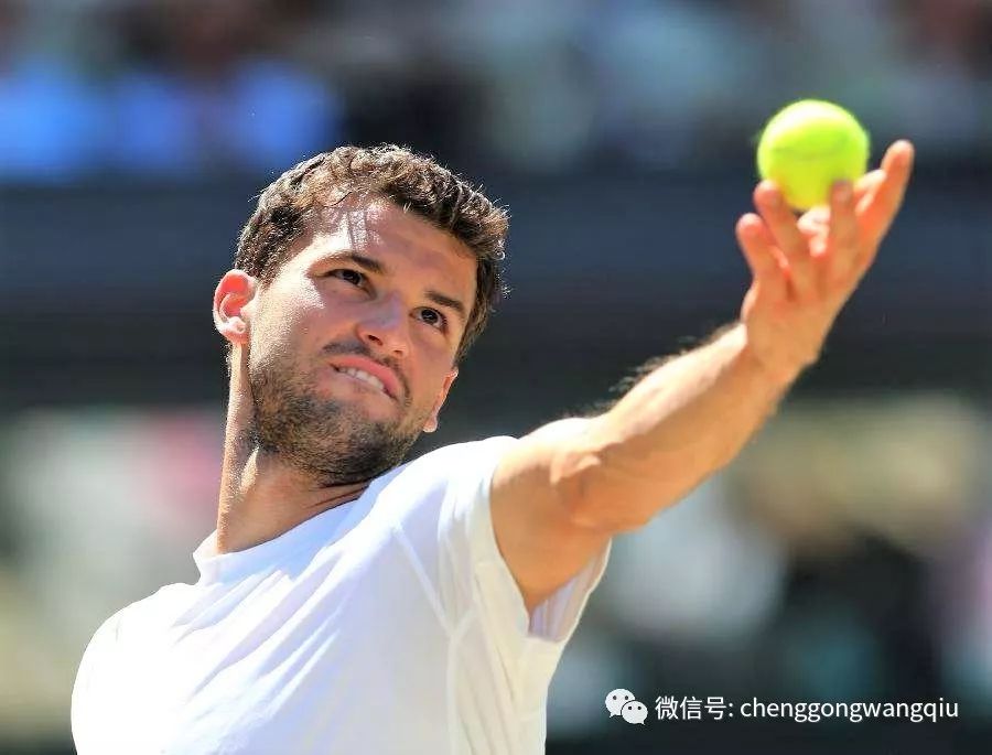 分享与共同 分享与共同