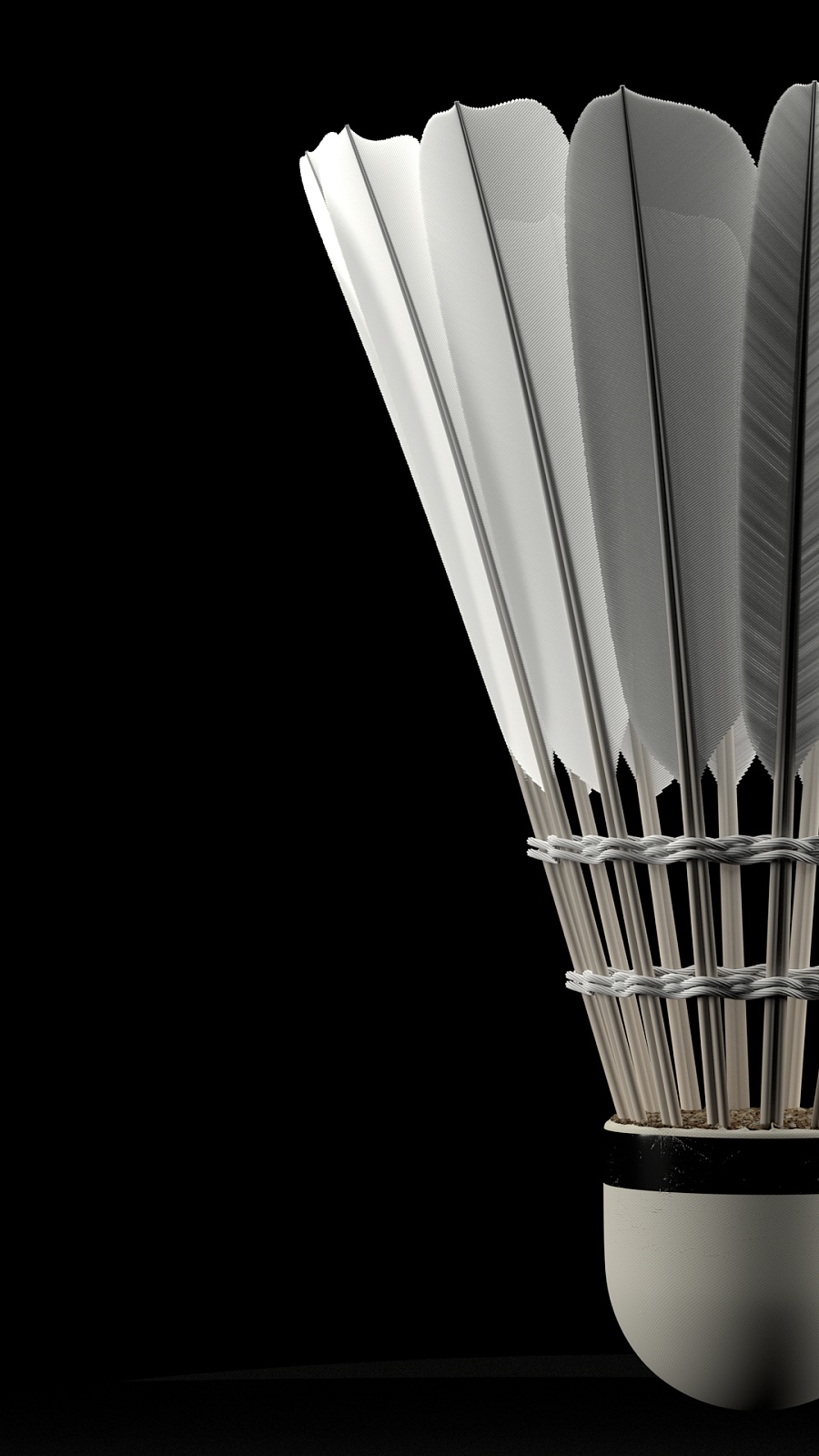 的复出阶段 的复出阶段