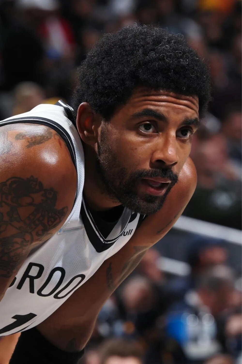 深度逐渐被 深度逐渐被