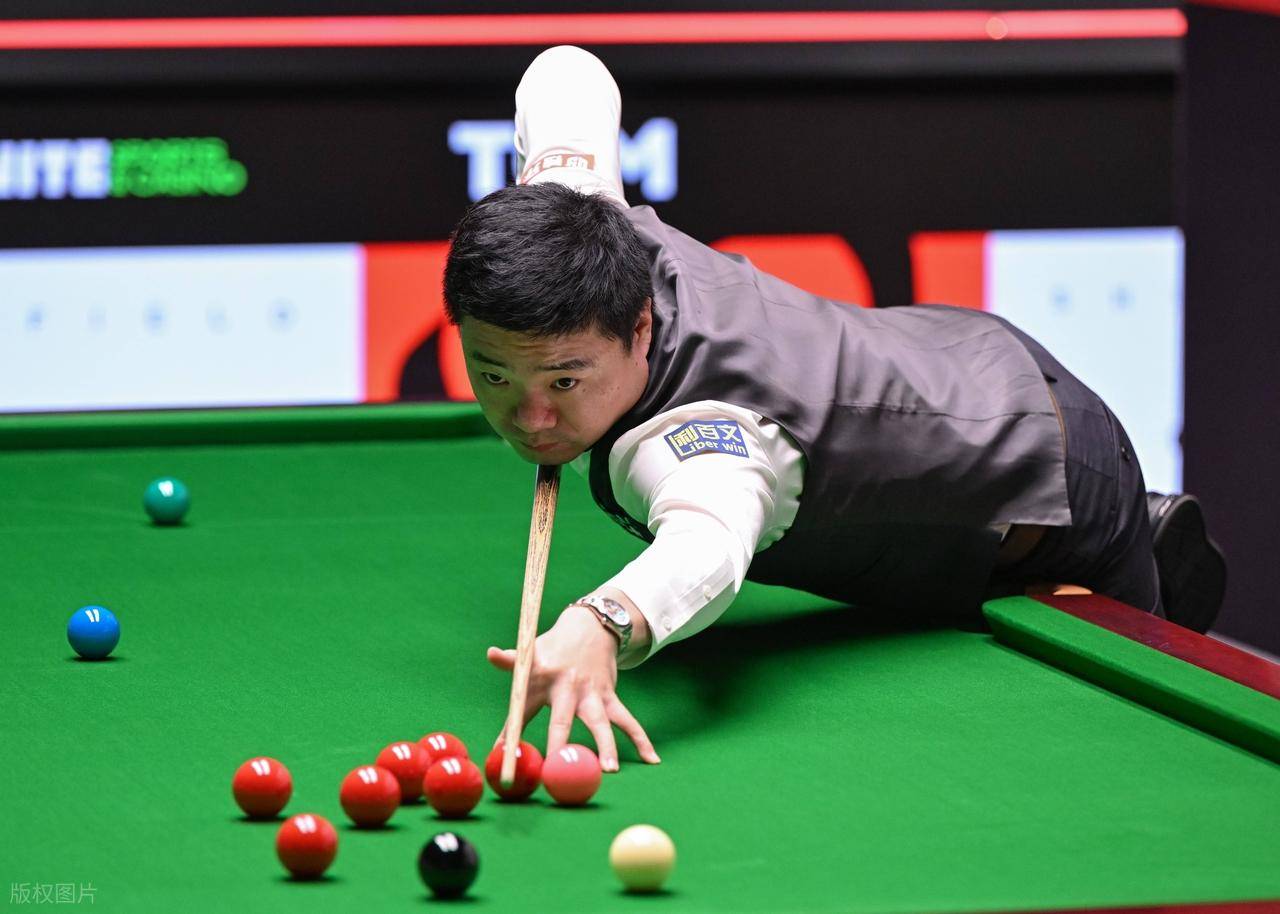 莱沃库森掌 莱沃库森掌